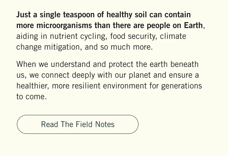 Just a single teaspoon of healthy soil can contain more microorganisms than there are people on Earth, aiding in nutrient cycling, food security, climate change mitigation, and so much more. When we understand and protect the earth beneath us, we connect deeply with our planet and ensure a healthier, more resilient environment for generations to come. Read the Field Notes.