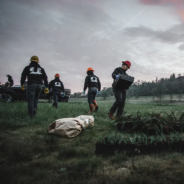 Tree Planting Oregon