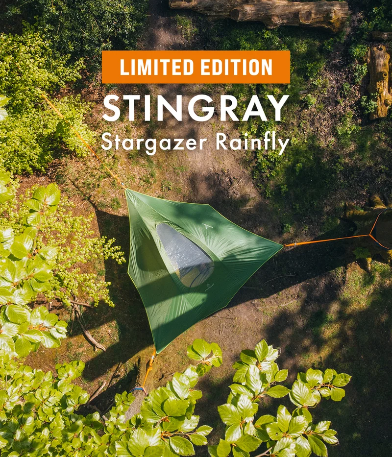 Stingray With Windows