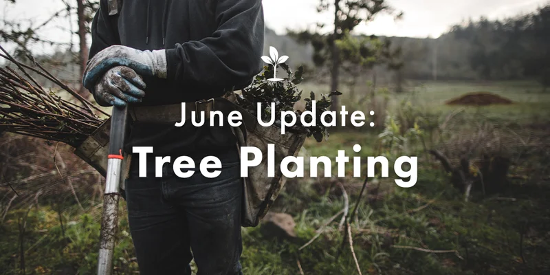 June Planting