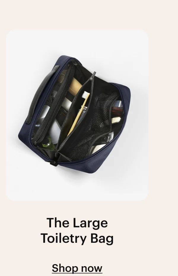 The Large Toiletry Bag