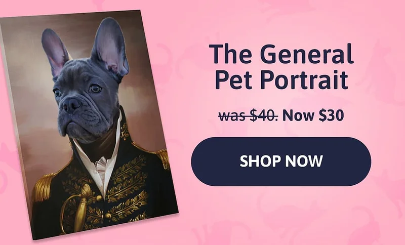 The General Pet Portrait. was $40. Now $30