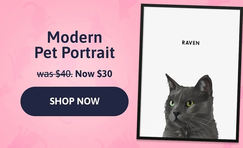 Modern Pet Portrait. was $40. Now $30