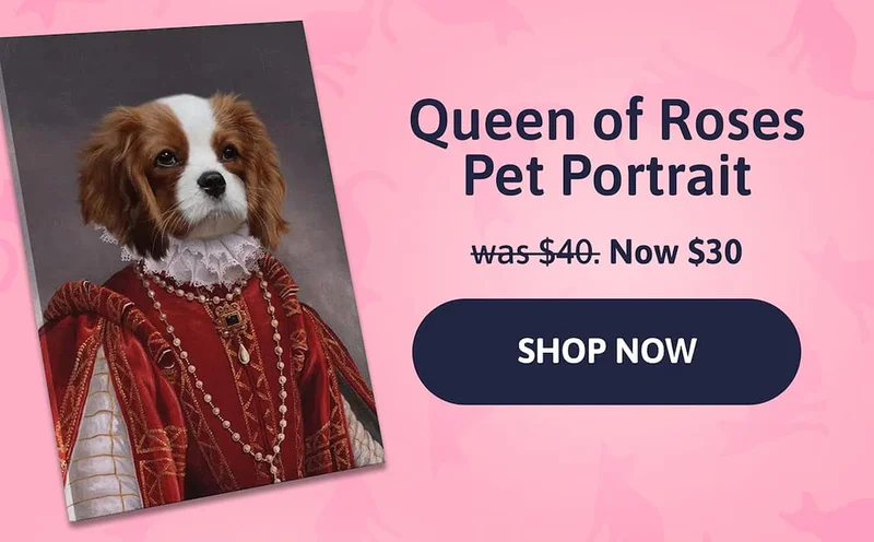 Queen of Roses Pet Portrait. was $40. Now $30