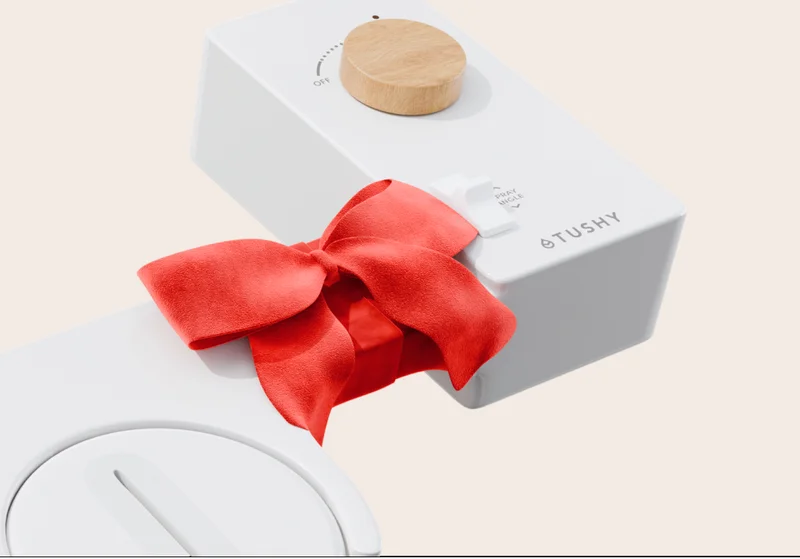 IMAGE OF BIDET
