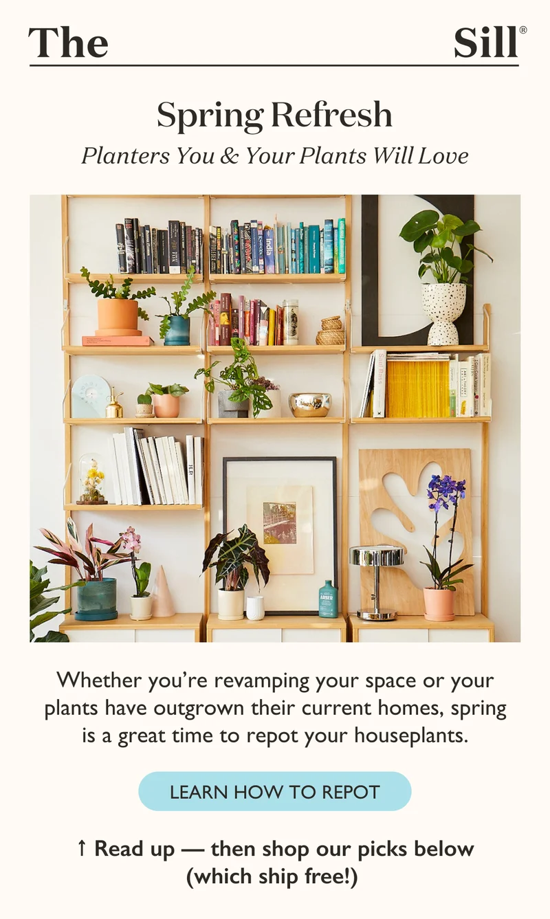 Whether you’re revamping your space or your plants have outgrown their current homes, spring is a great time to repot your houseplants. Learn how to repot on the blog, then shop our favorite planters.