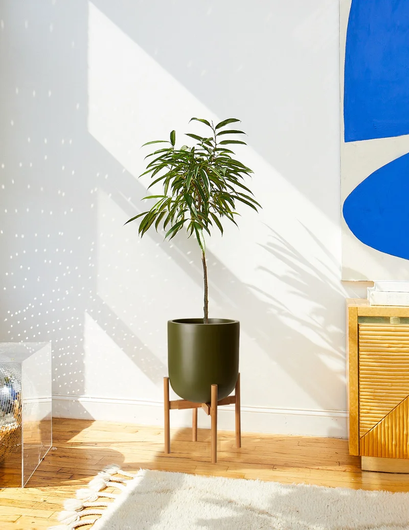 Image of Pallas Planter