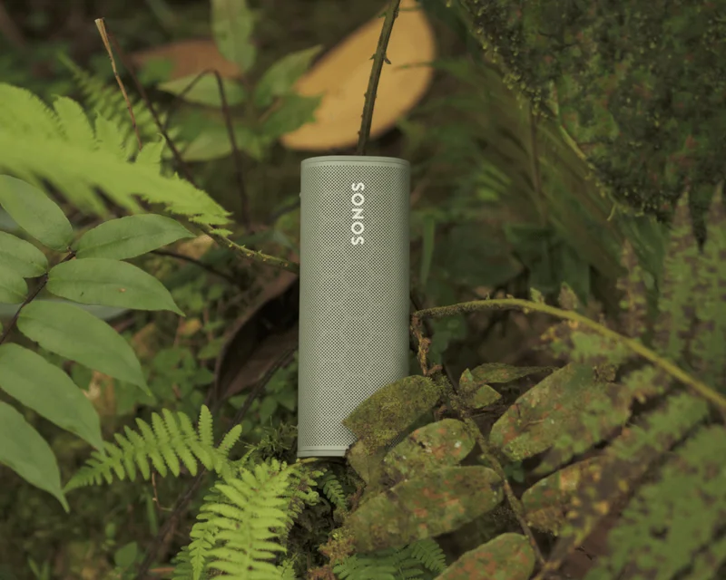 Sonos Olive Roam in Nature