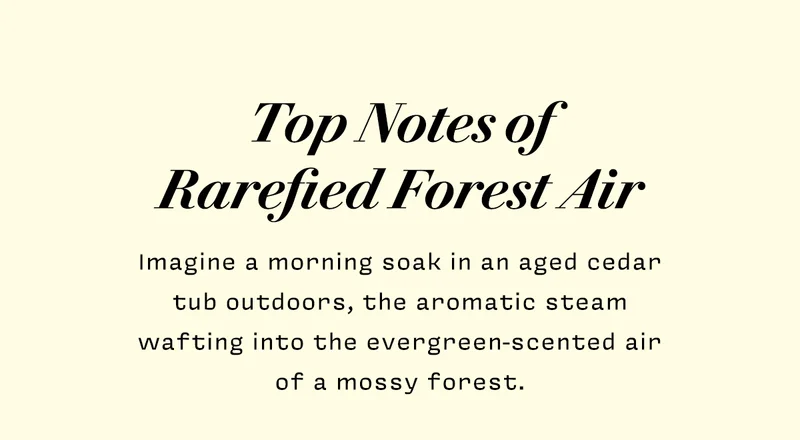 Top Notes of Rarefied Forest Air    Imagine a morning soak in an aged cedar tub outdoors, the aromatic steam wafting into the evergreen-scented air of a mossy forest.