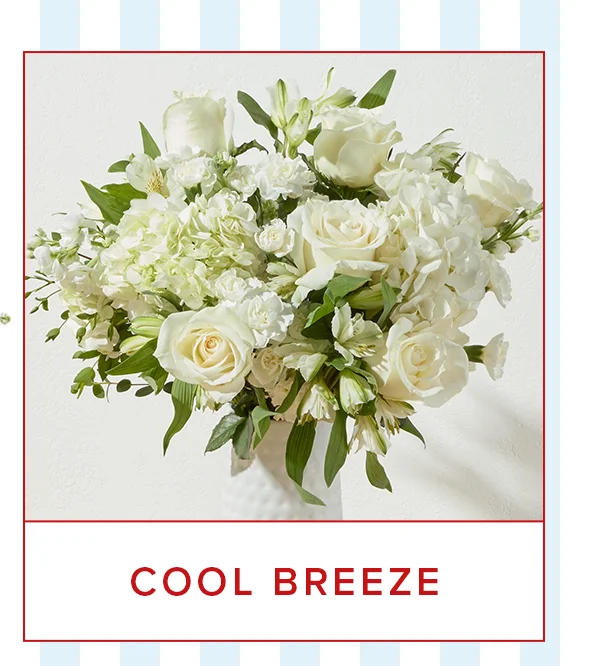 Featured Bouq: COOL BREEZE