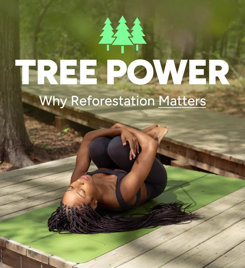 Tree Power – Why Reforestation Matters