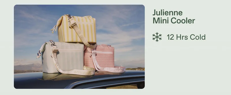 The All Day Julienne Mini Cooler