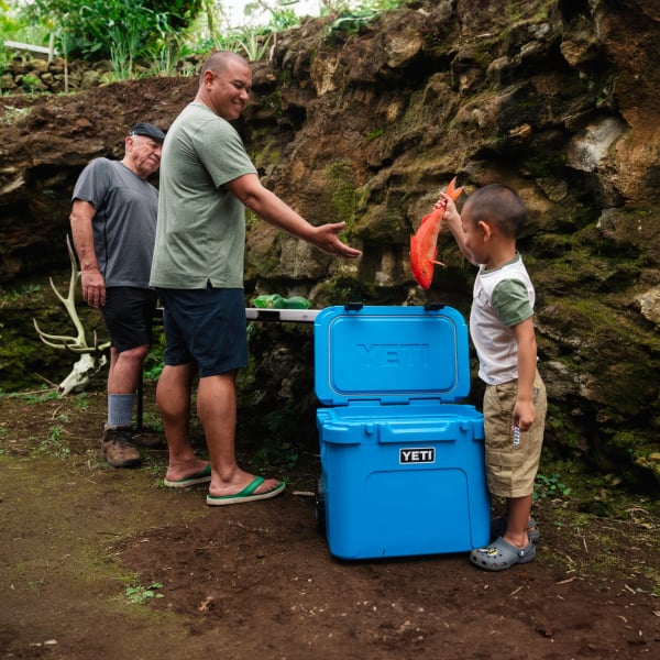 Shop Coolers