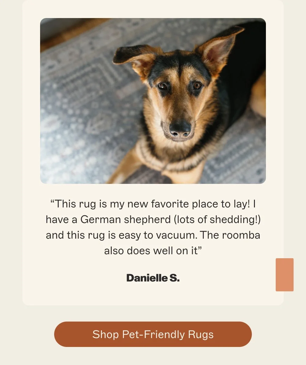 Shop Pet-Friendly Rugs