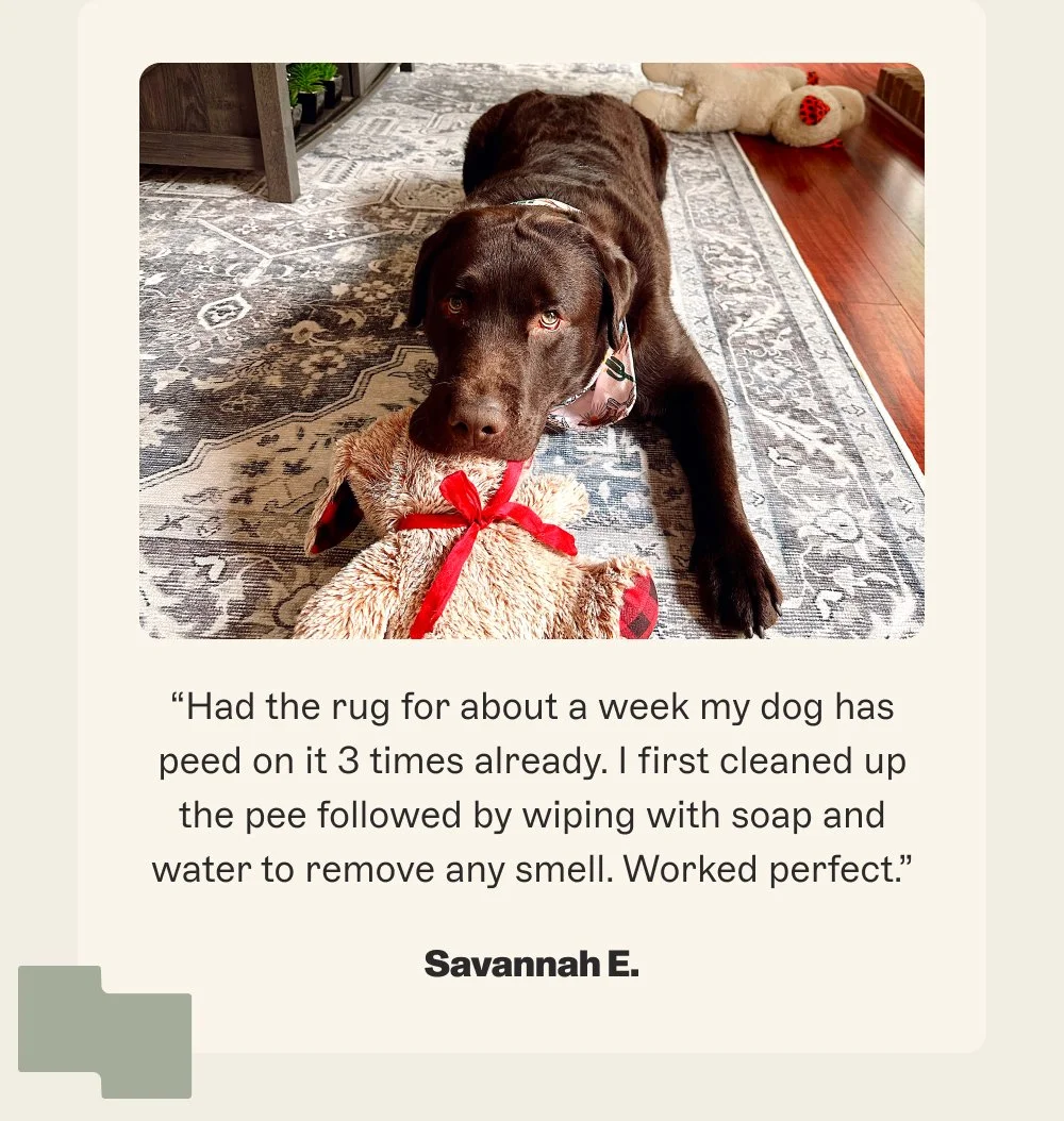 “Had the rug for about a week my dog has peed on it 3 times already. I first cleaned up the pee followed by wiping with soap and water to remove any smell. Worked perfect.”