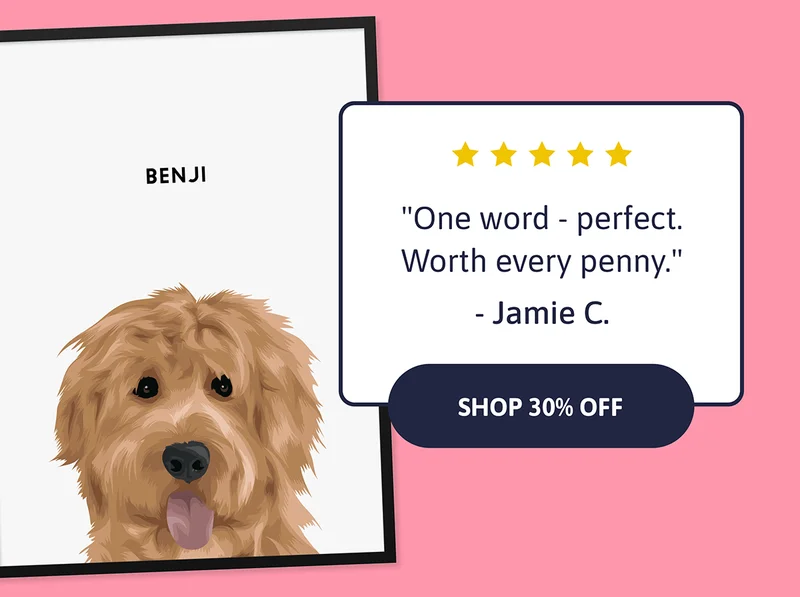 Modern Pet Portrait. was $60, NOW $42 "One word - perfect. Worth every penny." - Jamie C.