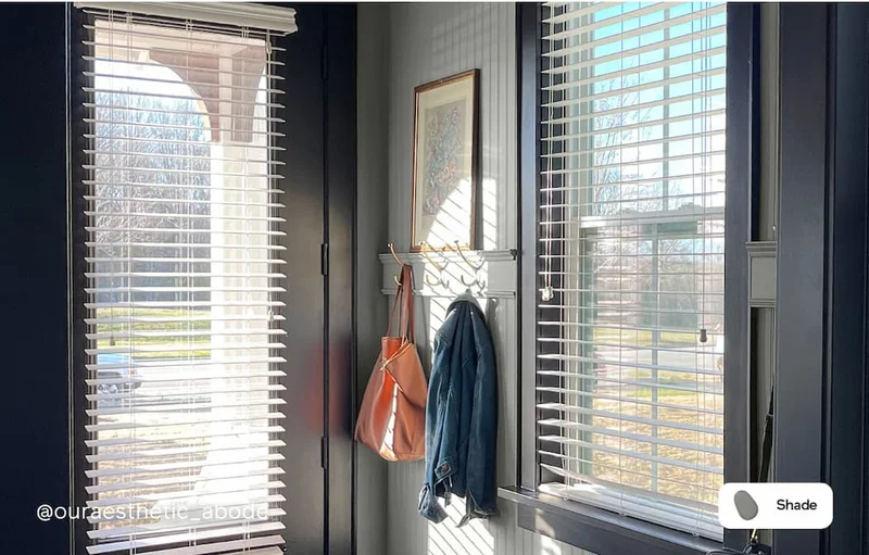 Entryway painted with Shade