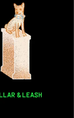 Collar & Leash