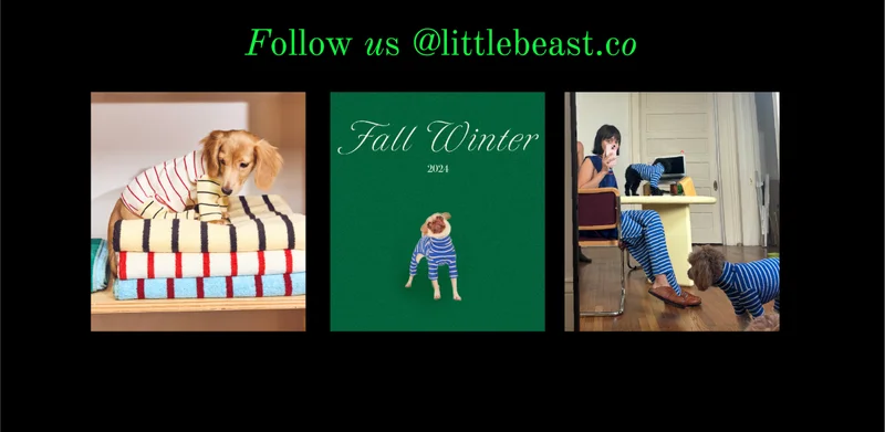 Follow us on Instagram