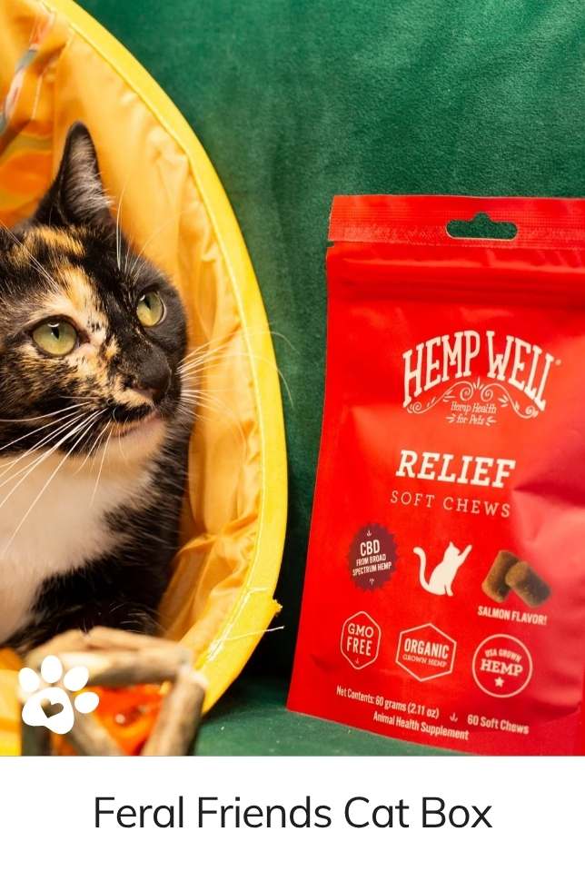 Feral Friends Monthly Cat Box