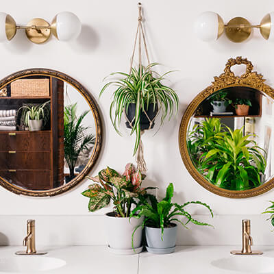 watering self watering pot