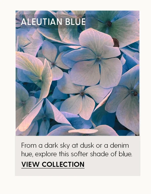 Aleutian Blue | From a dark sky at dusk or a denim hue, explore this softer shade of blue. | View Collection