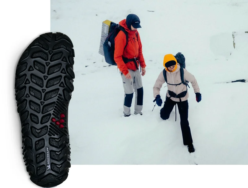 SHOP MAGNA FOREST ESC