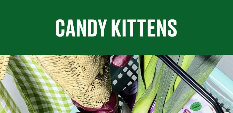 Candy Kittens