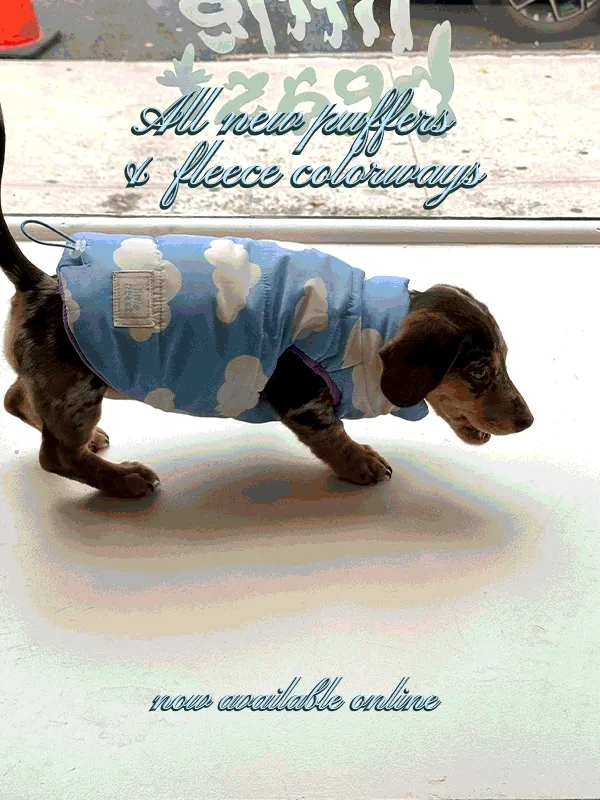 All new puffers & fleece colorways