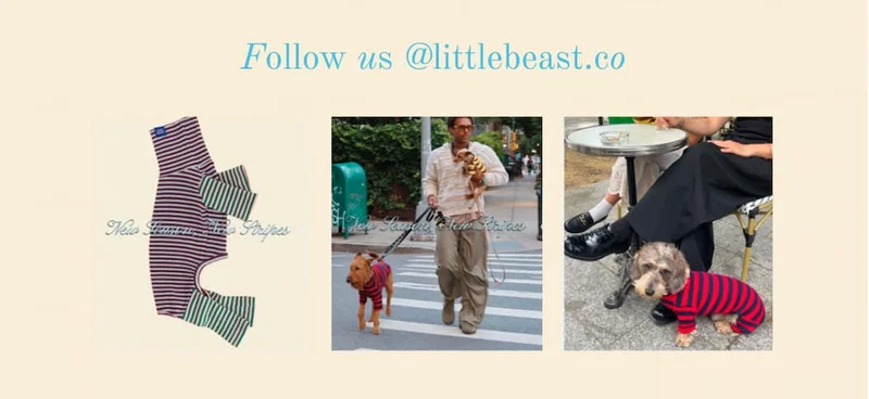 Follow us @littlebeast.co