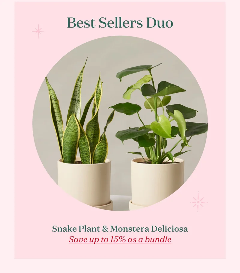 Save up to 15% with the Best Sellers Duo