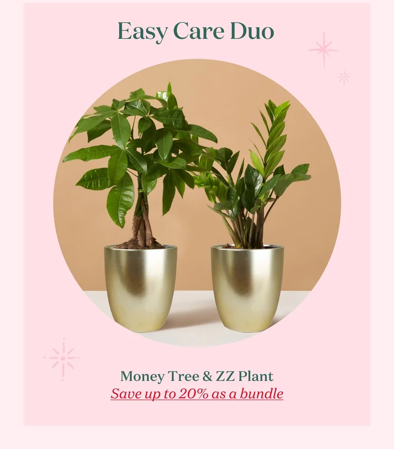 Save up to 20% with the Easy Care Duo