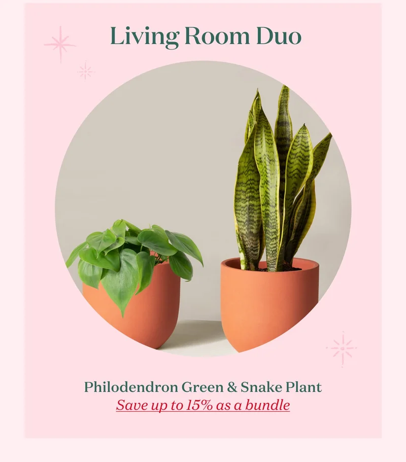 Save up to 15% with the Living Room Duo