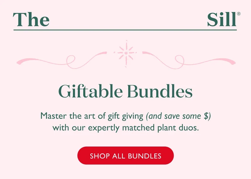 Master the art of gift giving (and save some $) with our expertly matched plant duos. Shop now!