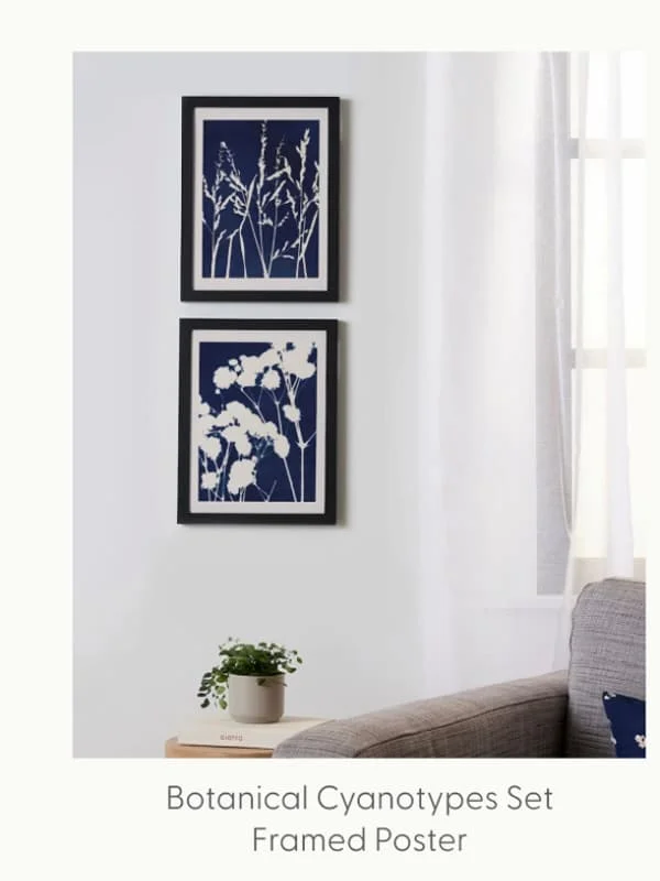 Botanical Cyanotypes Set Framed Poster