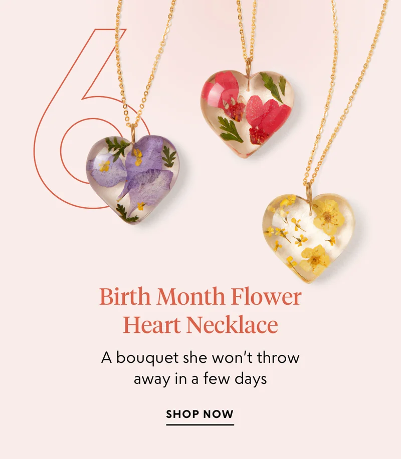 shop now