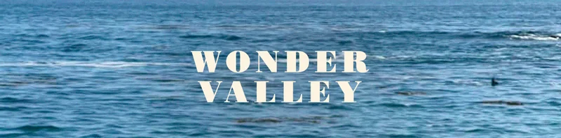 WONDER VALLEY