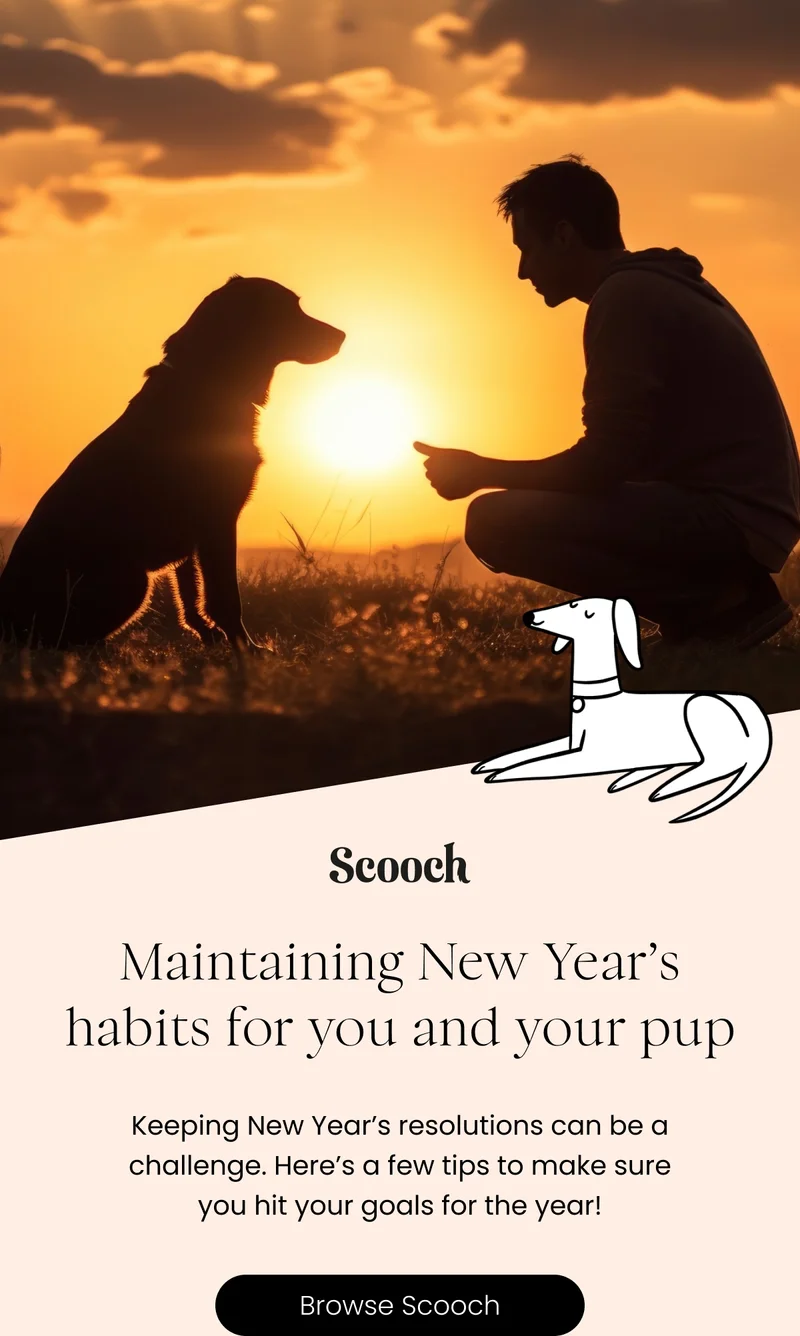 Maintaining New Year's habits for you and your pup - Tips - Browse Scooch