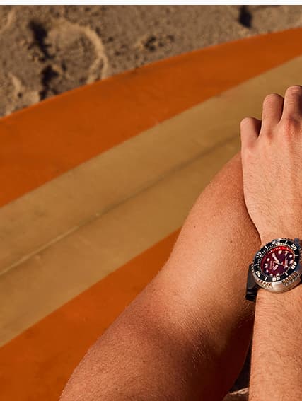 New - Promaster Dive E365