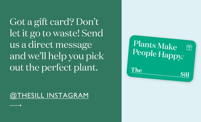 Got a gift card? don't let it go to waste! Send us a direct message and we'll help you pick out the perfect plant.