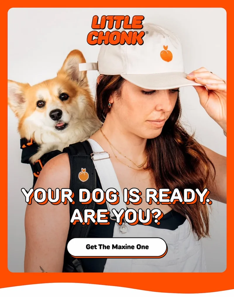 YOUR DOG IS READY. ARE YOU?