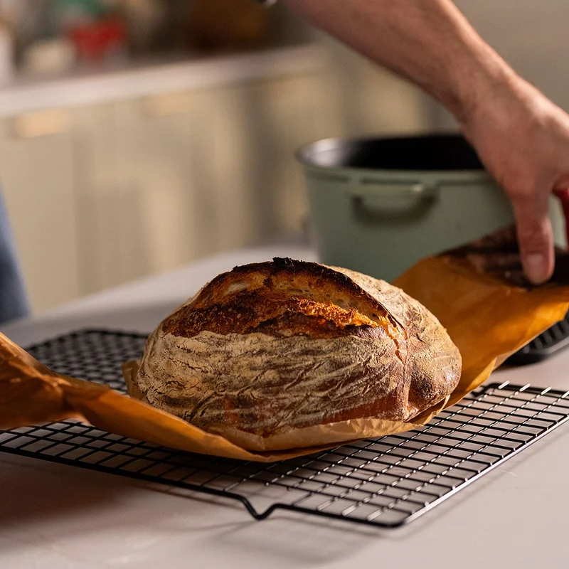 Sourdough Bread using Halo Pro