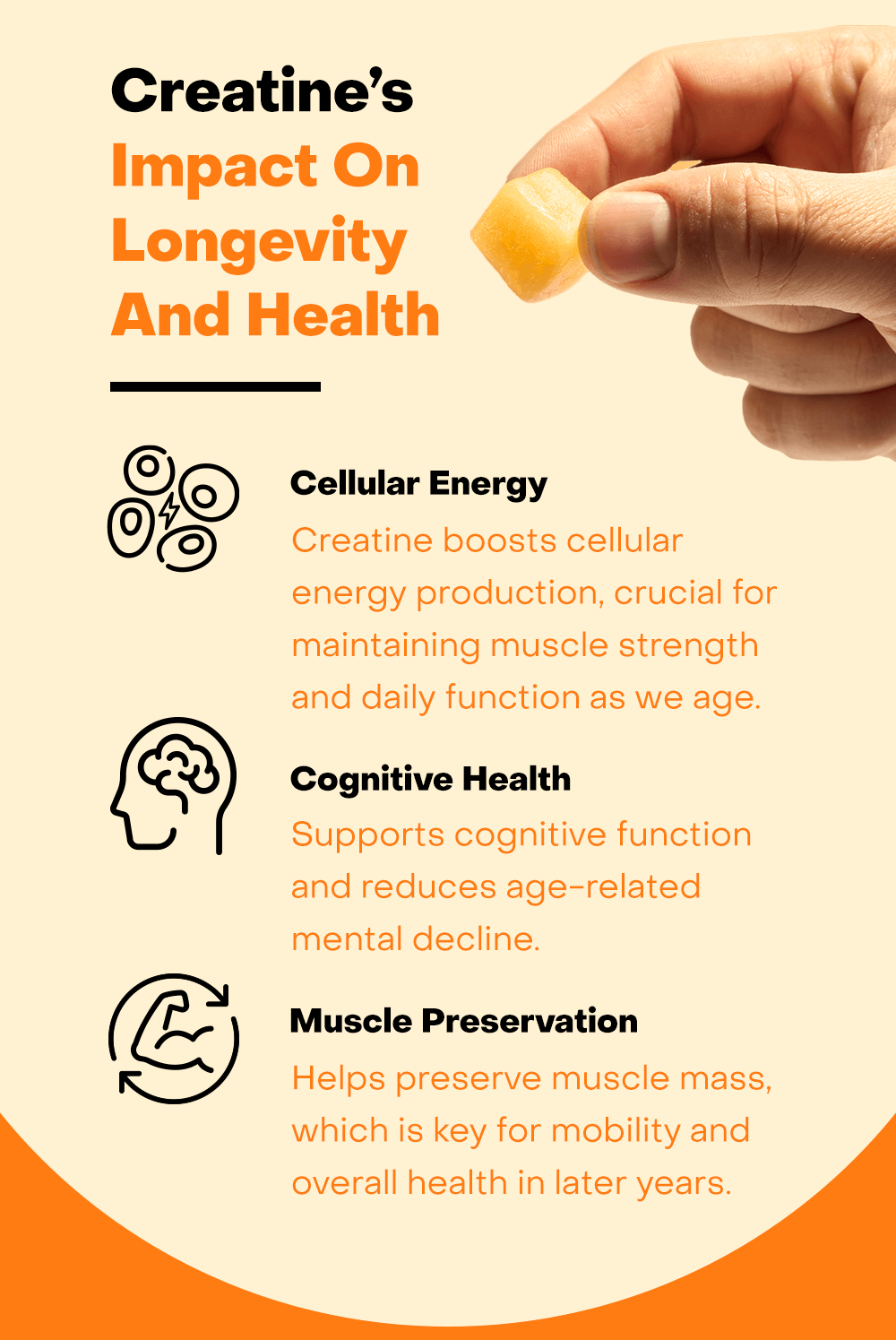 Creatine helps with Bone & Muscle health