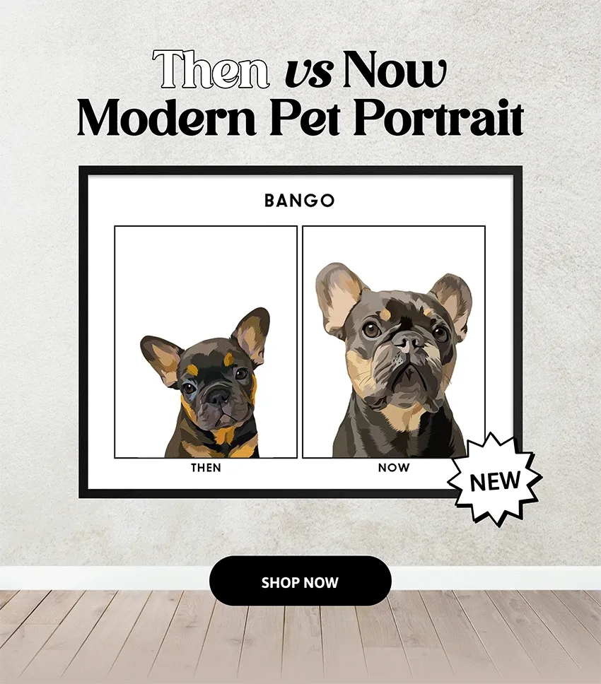 NEW: Then vs Now Modern Pet Portrait