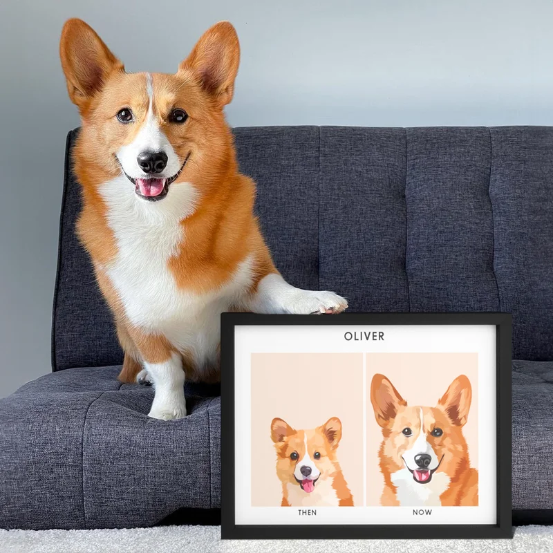 Customer photo of a Corgi stood next to his "Then vs Now" Pet Portrait