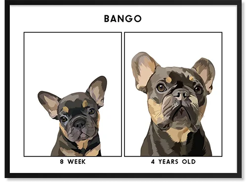 A two-photo pet portrait of the same dog at two different stages of it's life. One puppy photo at four weeks old and another photo at 8 years old.