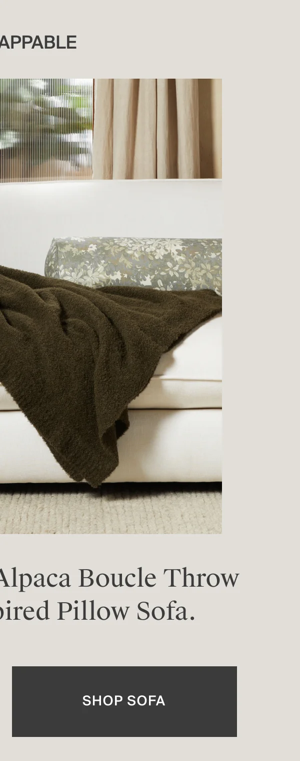 Shop Pillow Sofa