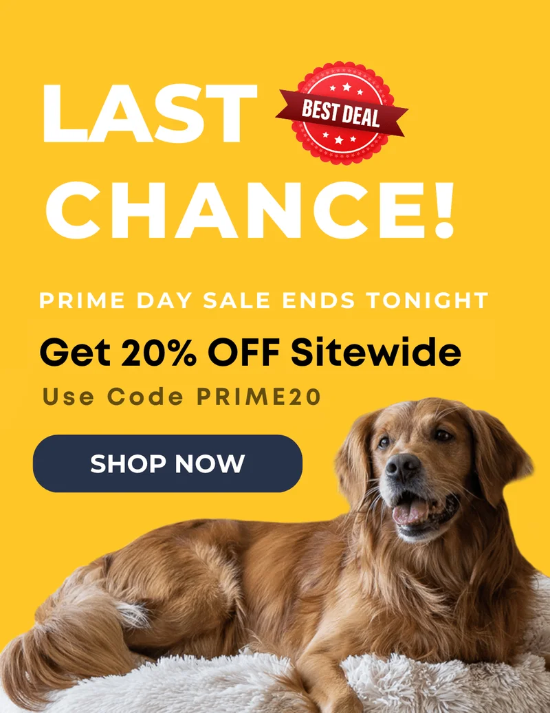 extra 20% on ramps
