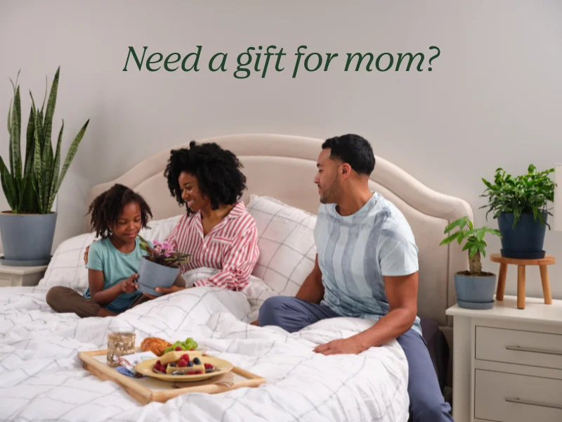 need a gift for mother's day?