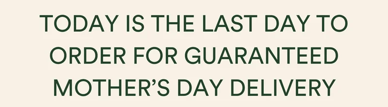 last day to order for guaranteed mother's day delivery